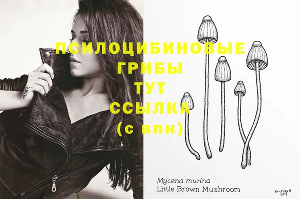 мяу мяу мука Абдулино